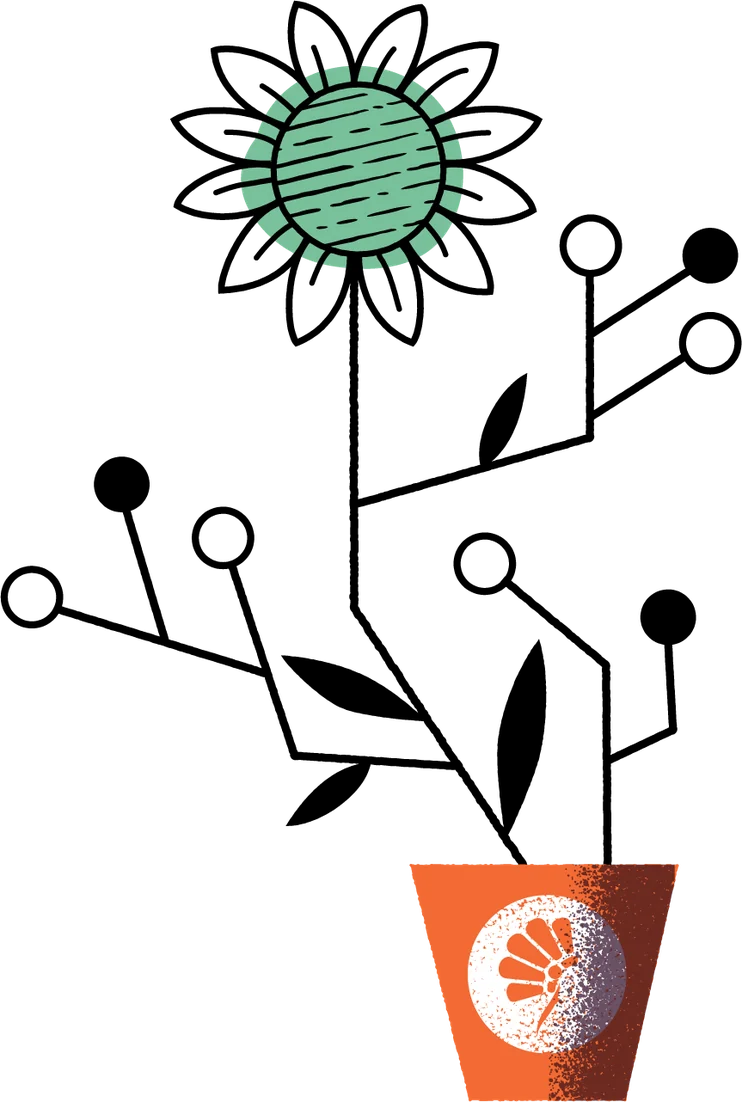 Editorial illustration of a plant whose branching stems end in network nodes, growing from a pot with the Shaman logo