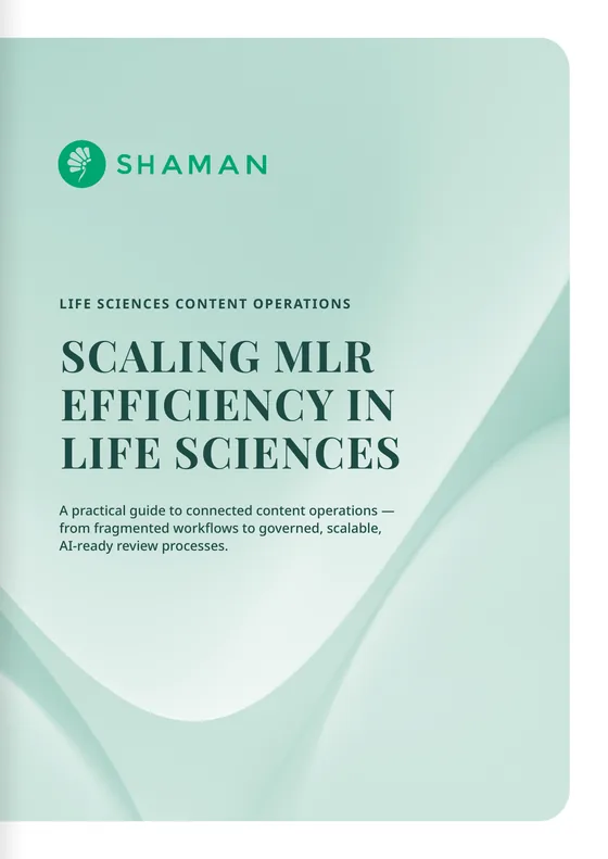 The MLR Efficiency Guide — guide cover